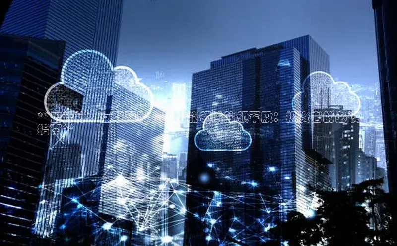 意昂体育4代理赛富乐斯**云计算、互联网和人工智能领域的领军股：投资者的必读
指南**