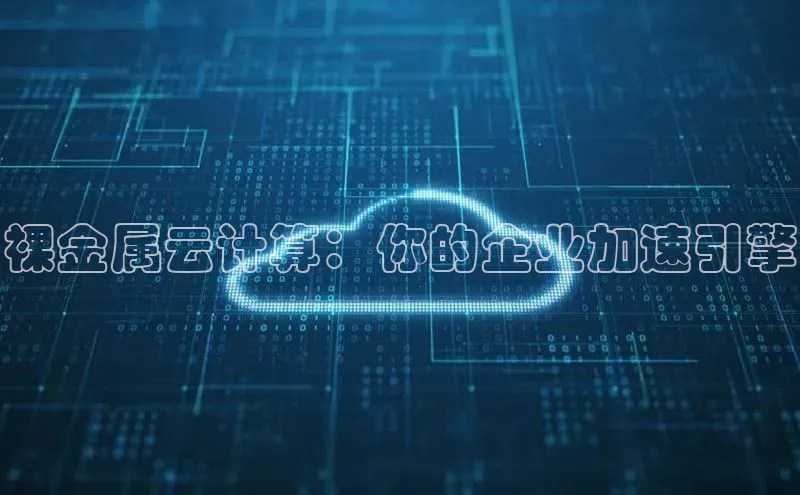 EON4雷柏科技裸金属云计算：你的企业加速引擎