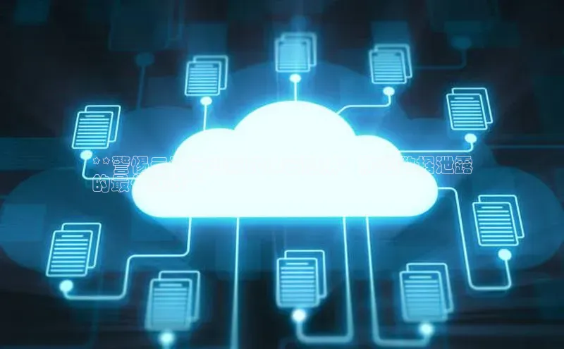 意昂体育4登录同程**警惕云计算潜藏的保密陷阱：防范数据泄露
的最佳实践**