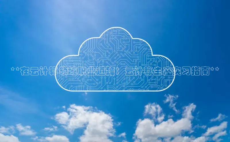 意昂4代理百度翻译App**在云计算领域职业道路：云计算生产实习指南**