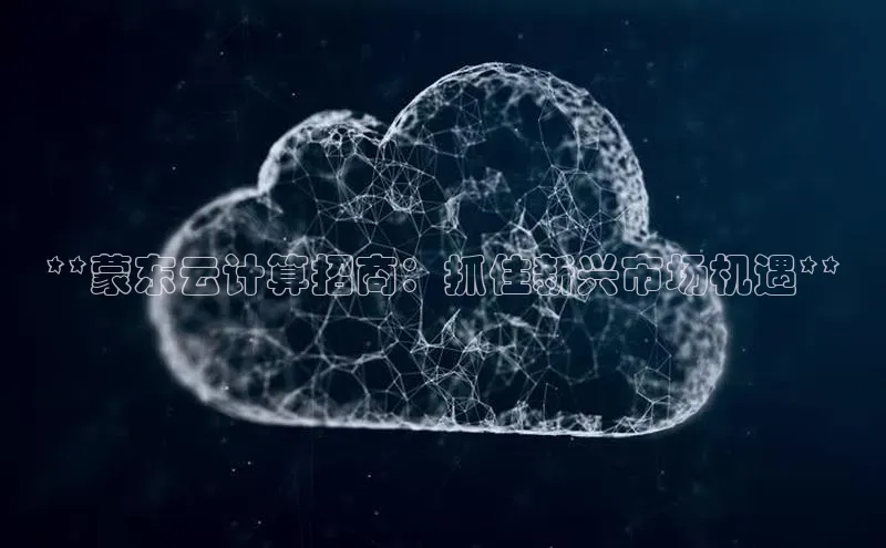 EON4招商诸葛科技**蒙东云计算招商：抓住新兴市场机遇**