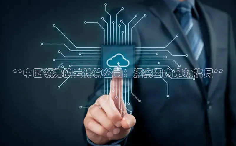 EON4官网美团**中国领先的云计算公司：洞察国内市场格局**