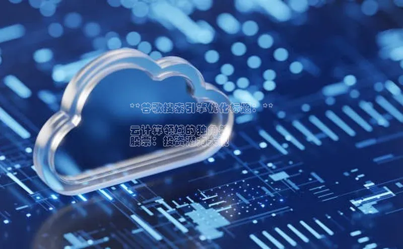 意昂体育4官网百度学术**谷歌搜索引擎优化标题：**

云计算领域的独角兽
股票：投资潜力大观