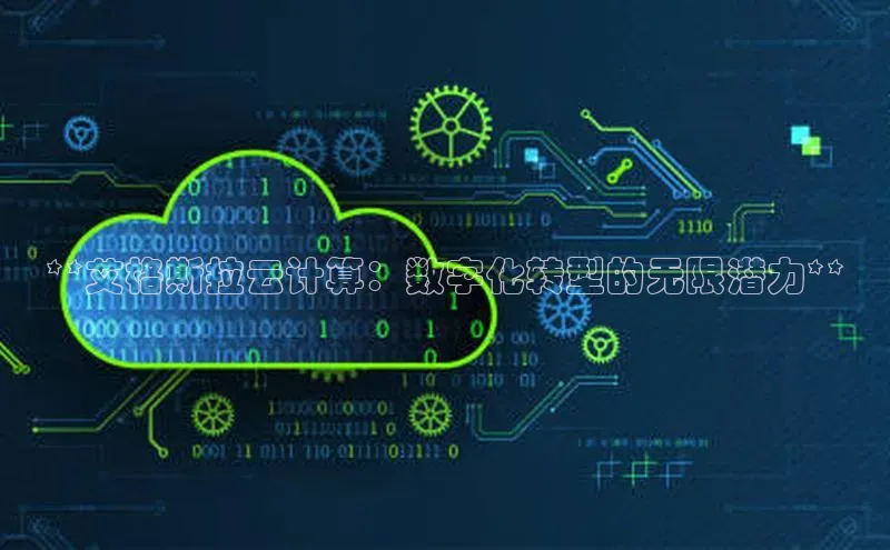 意昂体育4代理赛富乐斯**艾格斯拉云计算：数字化转型的无限潜力**