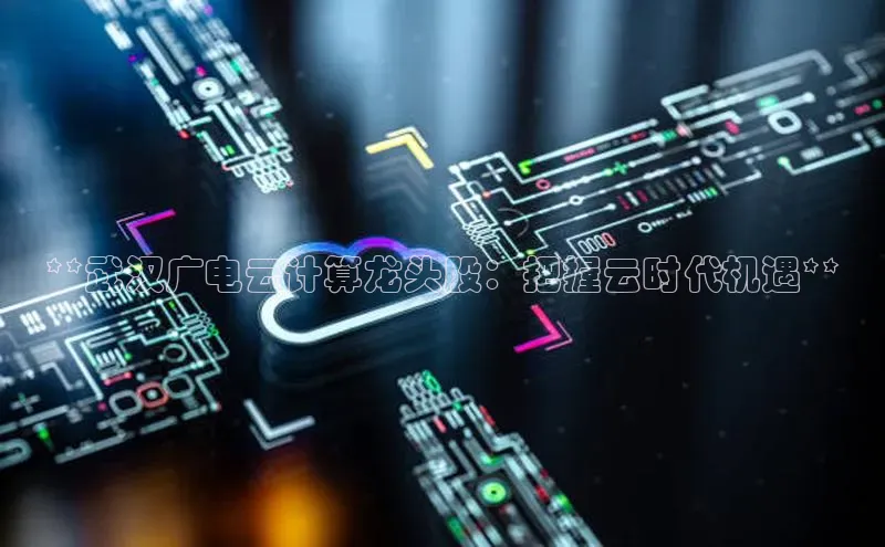 EON体育4携程**武汉广电云计算龙头股：把握云时代机遇**