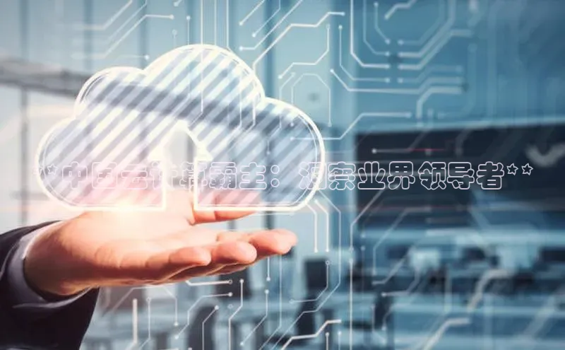 意昂4登录慧博云通**中国云计算霸主：洞察业界领导者**