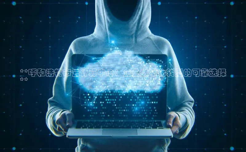 意昂体育4官网宇信科技**呼和浩特市云计算中心：企业数字化转型的可靠选择
**