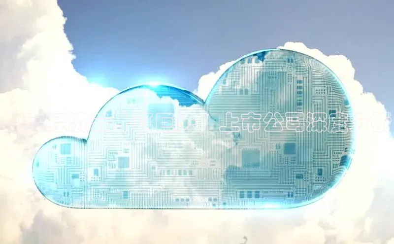 EON4官网美团数字经济云计算巨头：上市公司深度分析