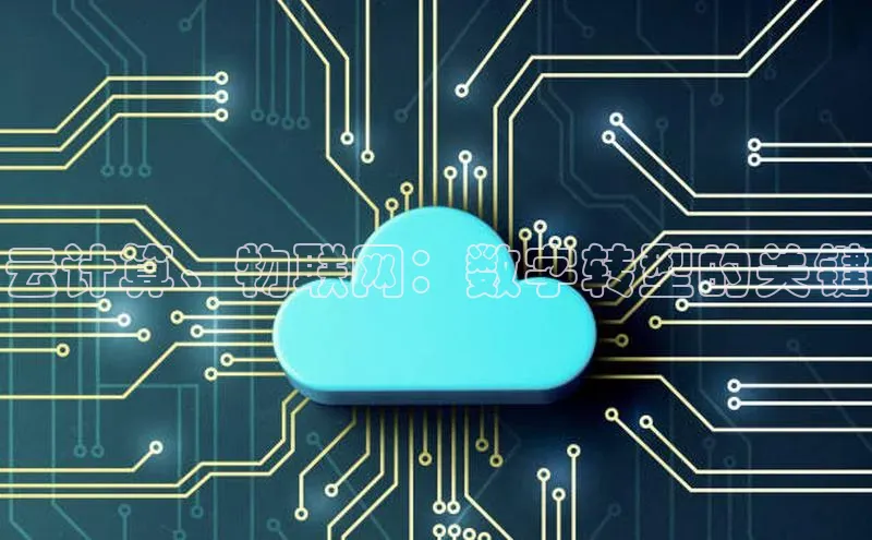 意昂体育4路畅科技云计算、物联网：数字转型的关键