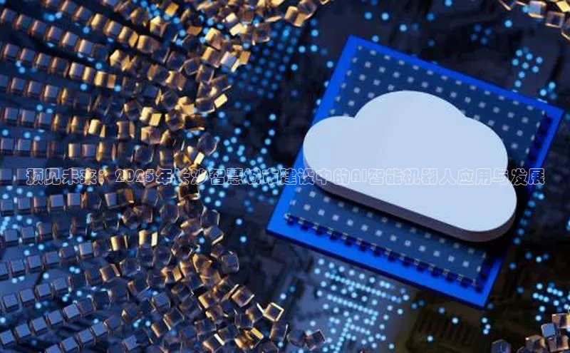 预见未来：2025年长沙智慧城市建设中的AI智能机器人应用与发展