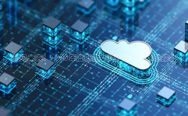 预见未来：2025年度新款女短袖AI试穿体验报告